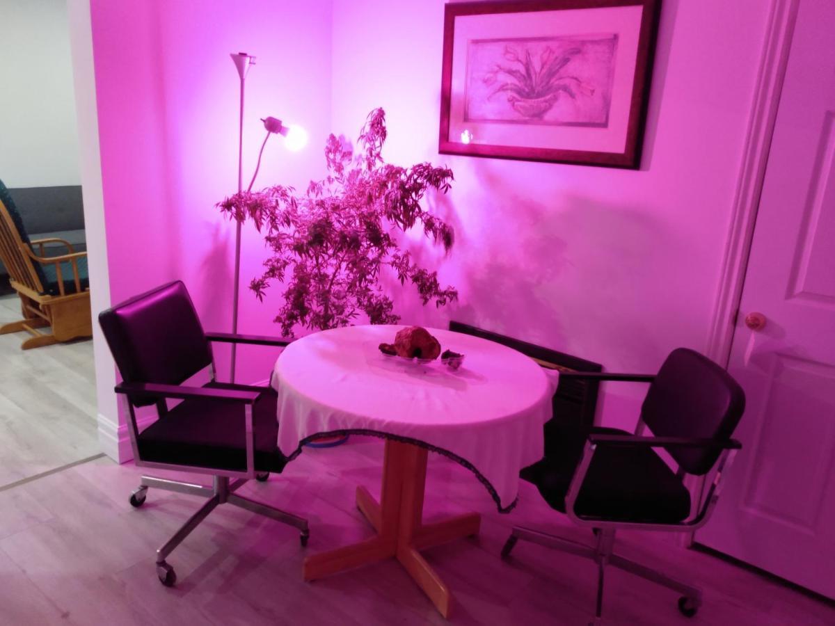 Healing Touch Holistic Living Space Amherst Dış mekan fotoğraf